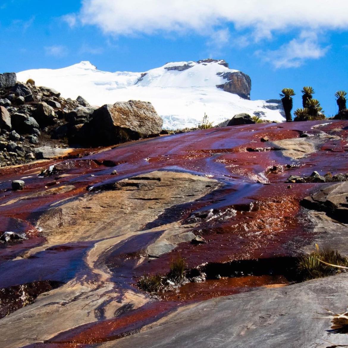 Tour Aventura en El Nevado de El Cocuy - Imagen 3