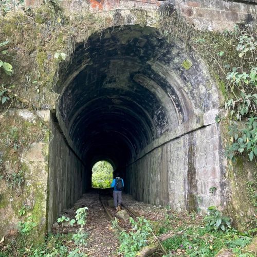 307651813_1042917306399336_5349388835693153107_n