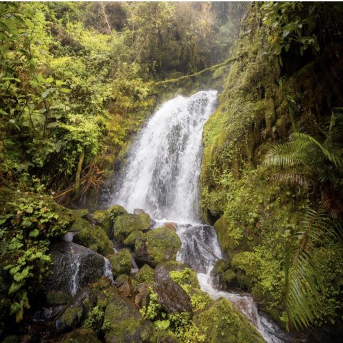 344128373_853814732745868_8786852040583363657_n