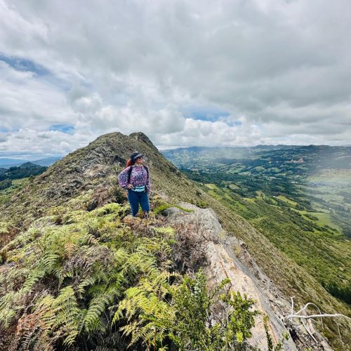 356248965_771498618317633_8059422801431830502_n