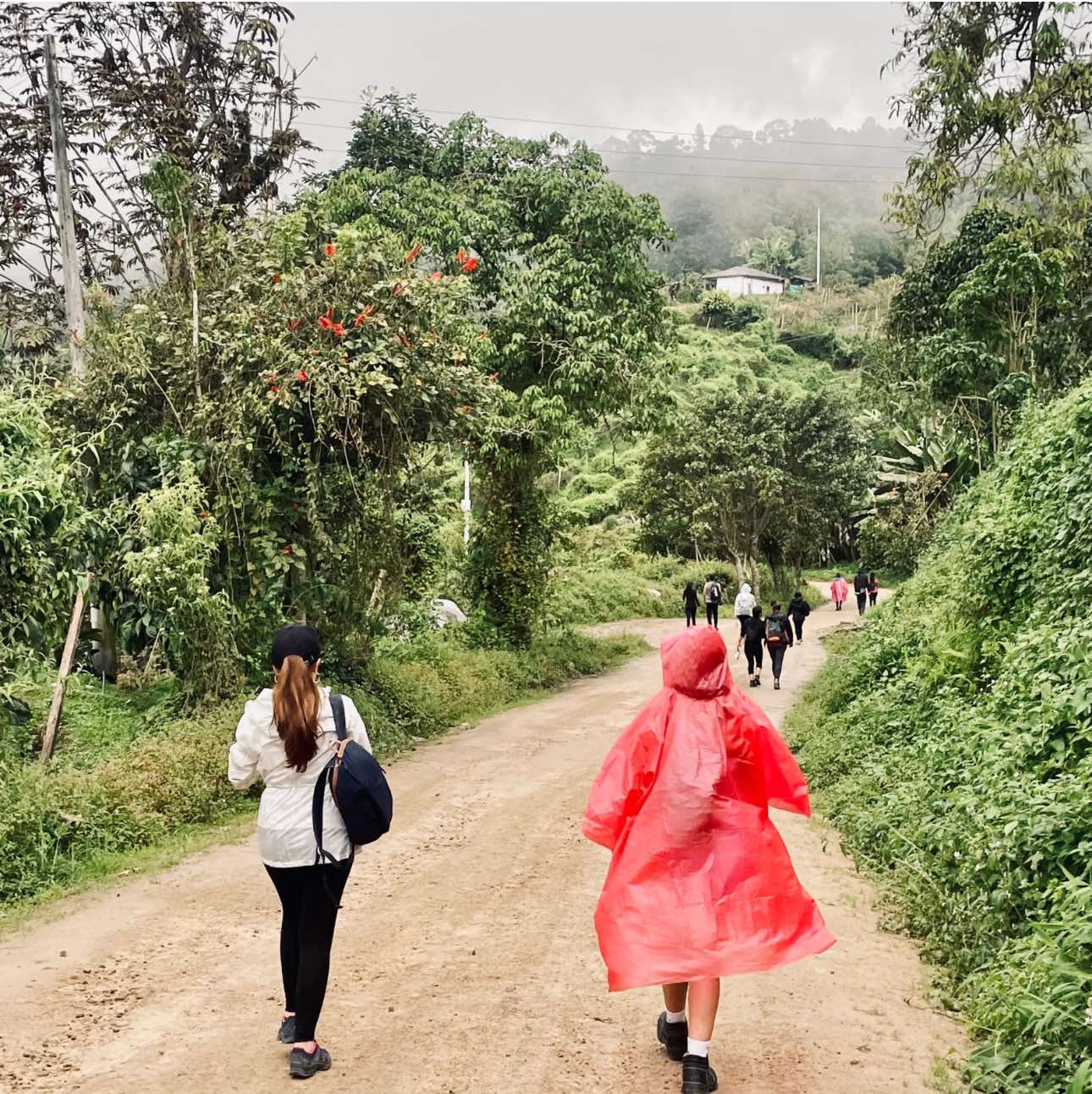 Caminata Pandi, Mirador La Chapa, San Bernardo - Imagen 7