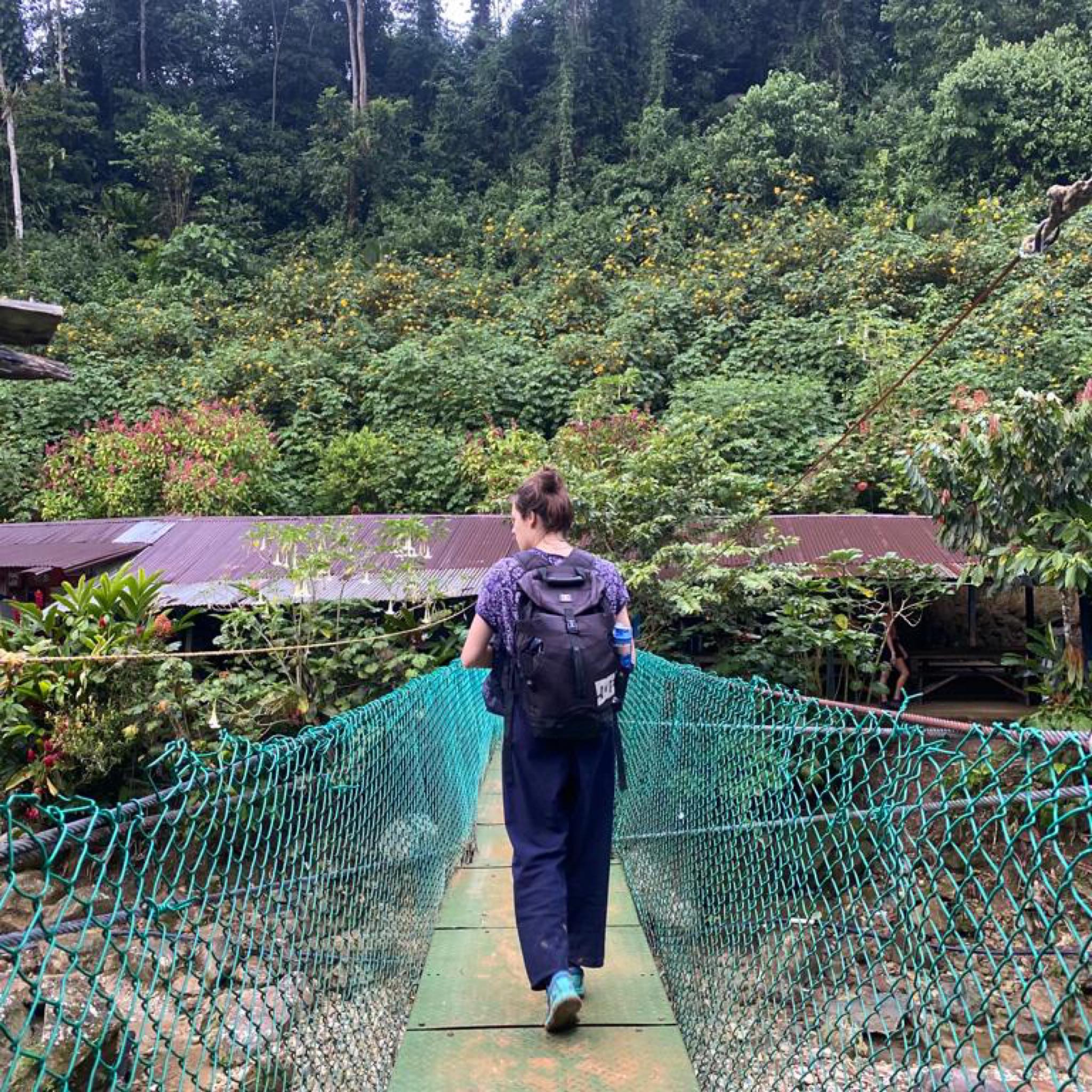 Experiencia Ciudad Perdida, Sierra Nevada de Santa Marta - Imagen 9