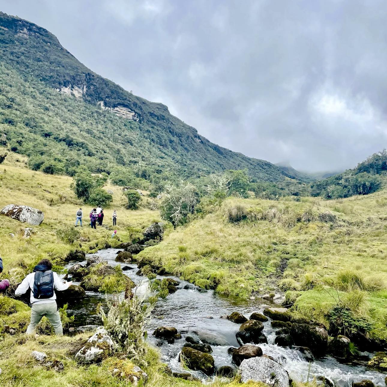 Caminata Páramo de Chingaza, Sendero Rincón del Oso y Peñas Blancas - Imagen 5