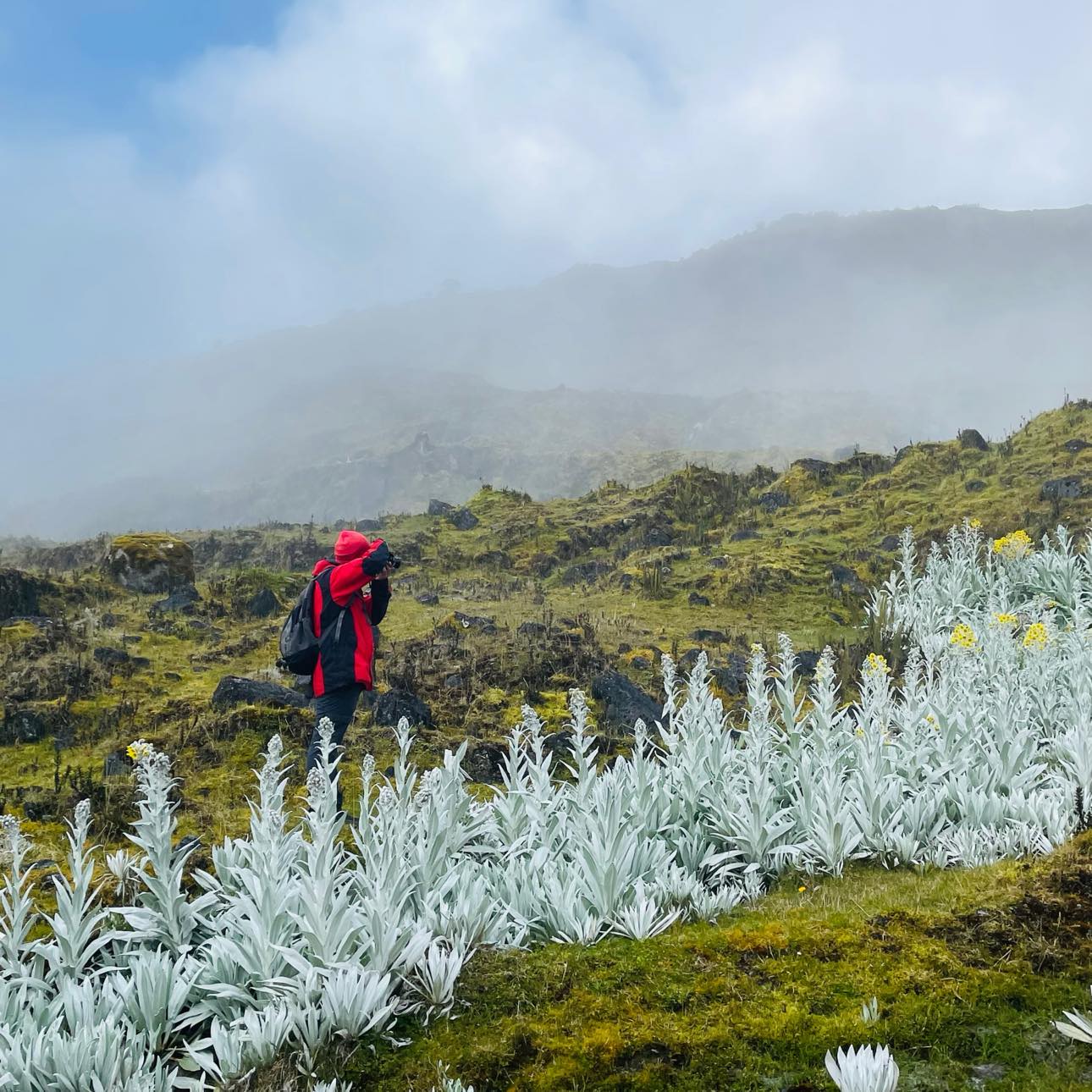 Caminata Páramo de Chingaza, Sendero Rincón del Oso y Peñas Blancas - Imagen 10