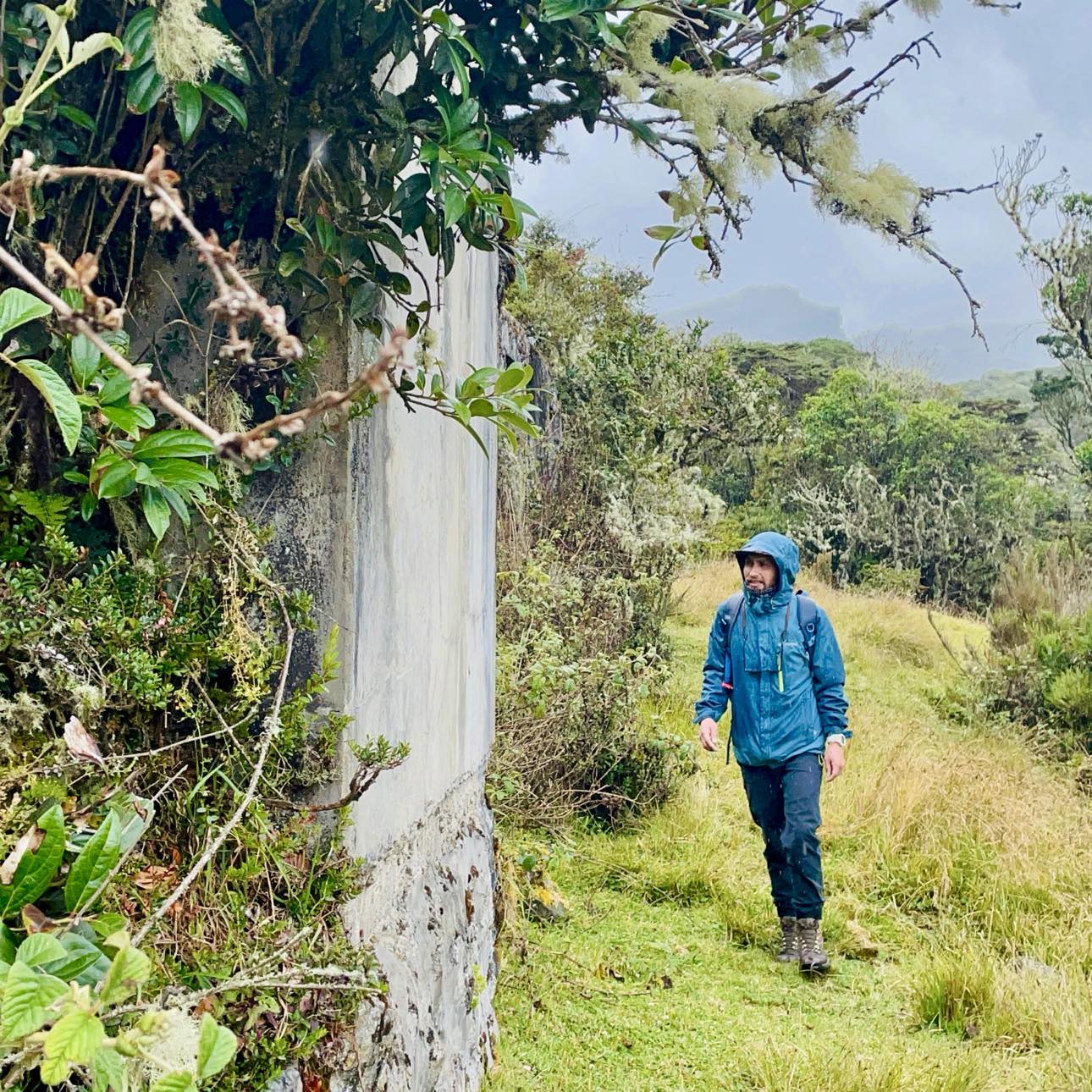 Caminata Páramo de Chingaza, Sendero Rincón del Oso y Peñas Blancas - Imagen 3