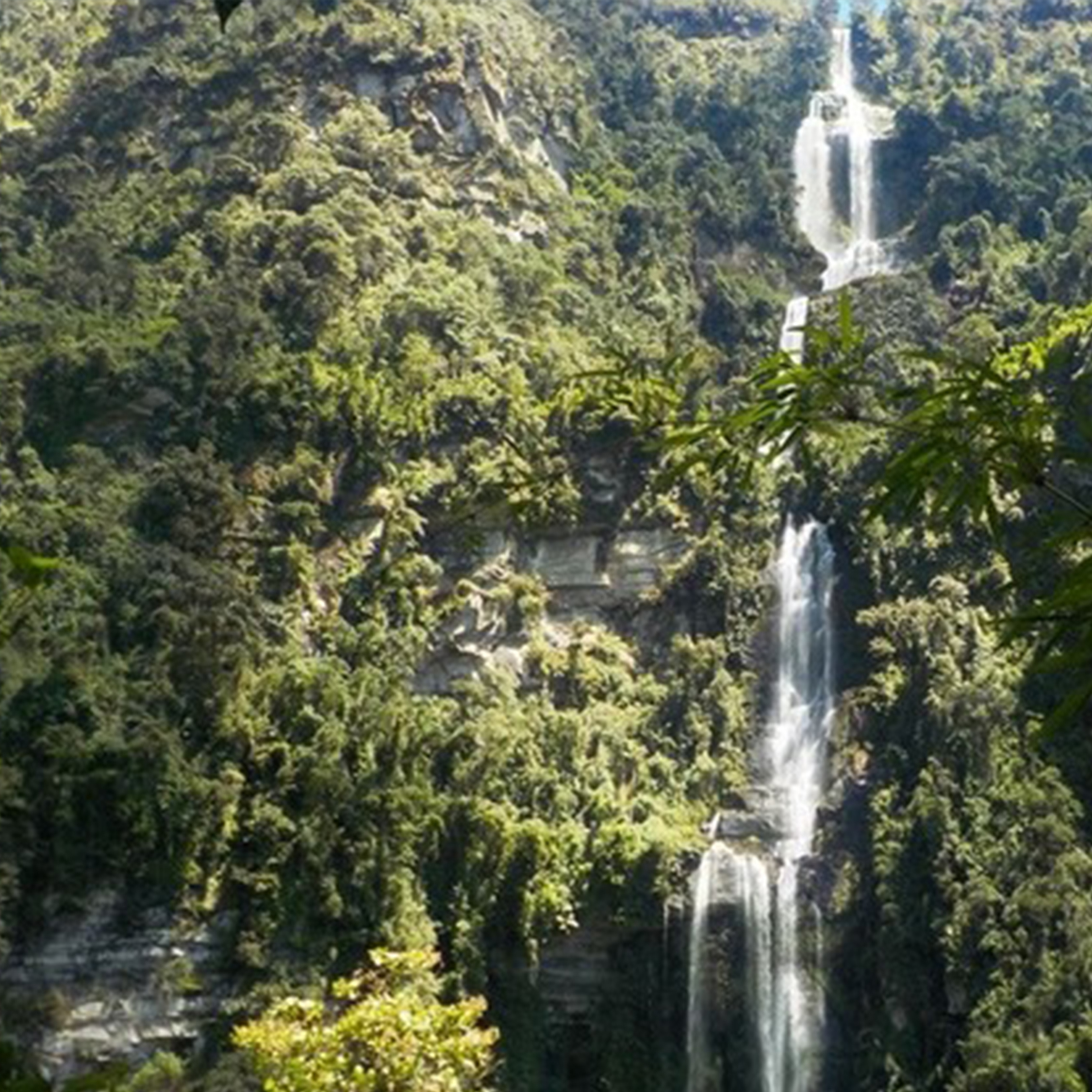 Caminata Cascada La Chorrera, la más alta de Colombia - Imagen 5