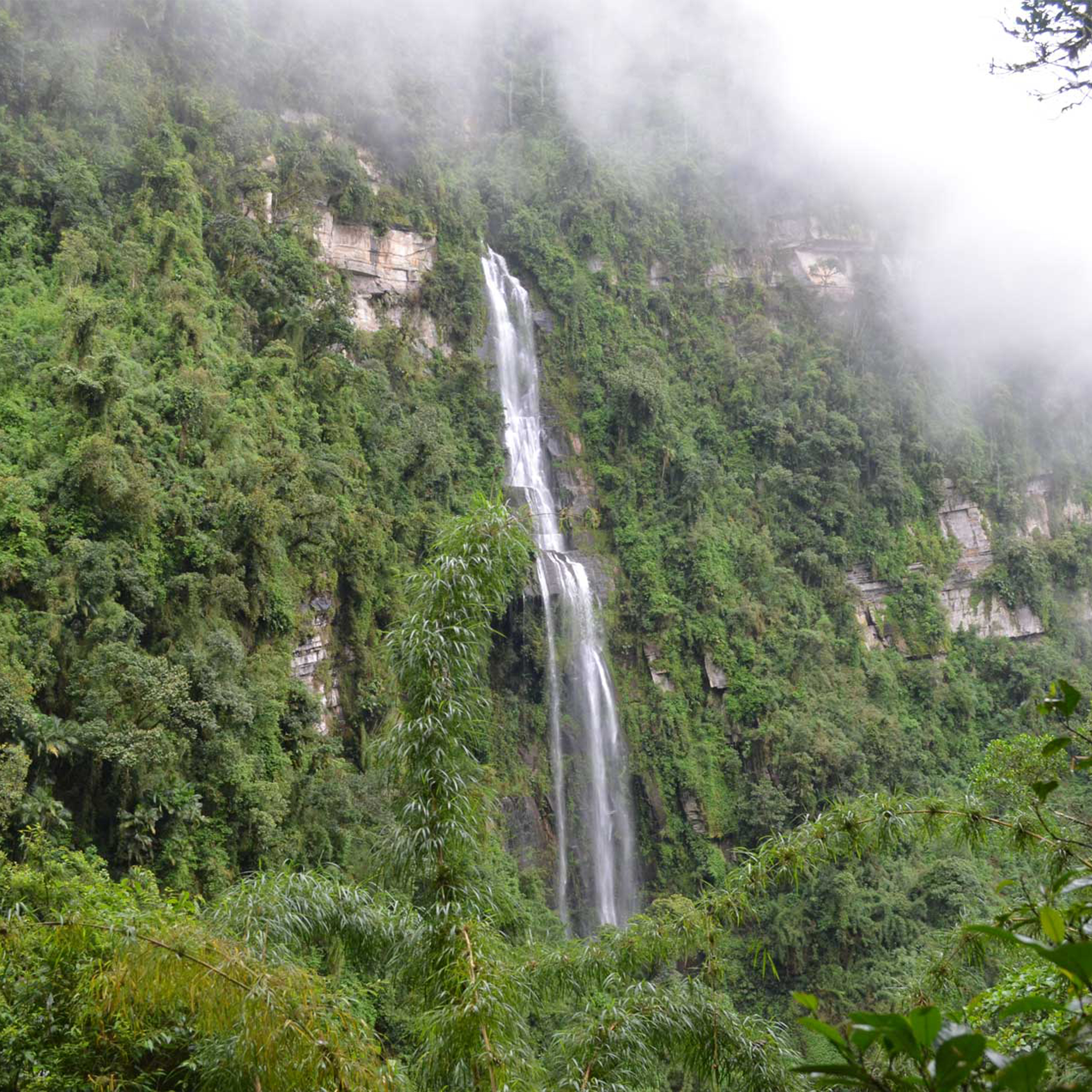 Caminata Cascada La Chorrera, la más alta de Colombia - Imagen 7