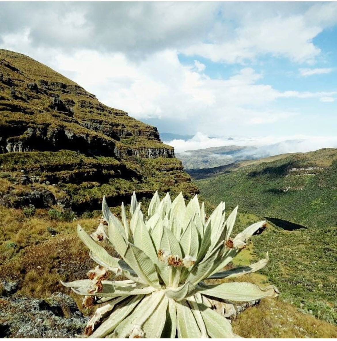 Tour Páramo de Ocetá y La Peña de Otí en Monguí - Imagen 2