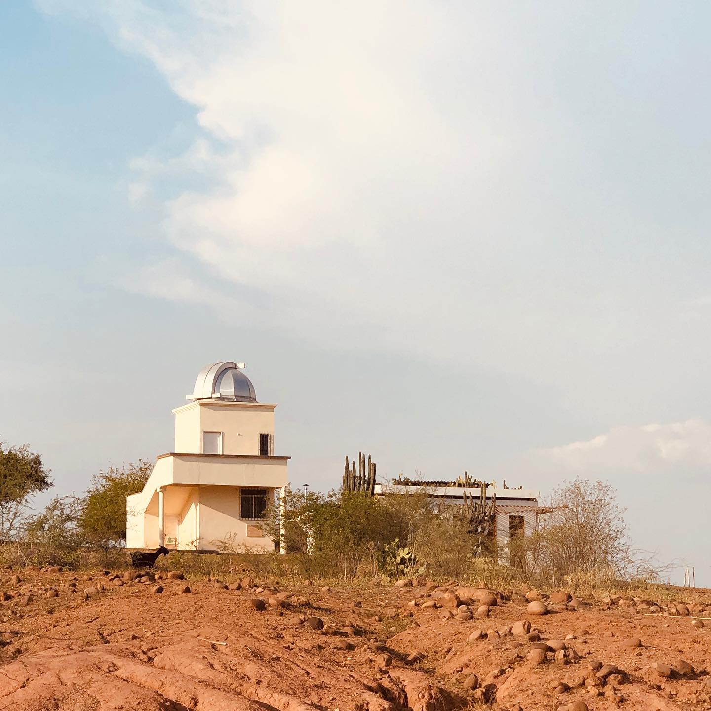 Tour Aventura en el Desierto de La Tatacoa - Imagen 2