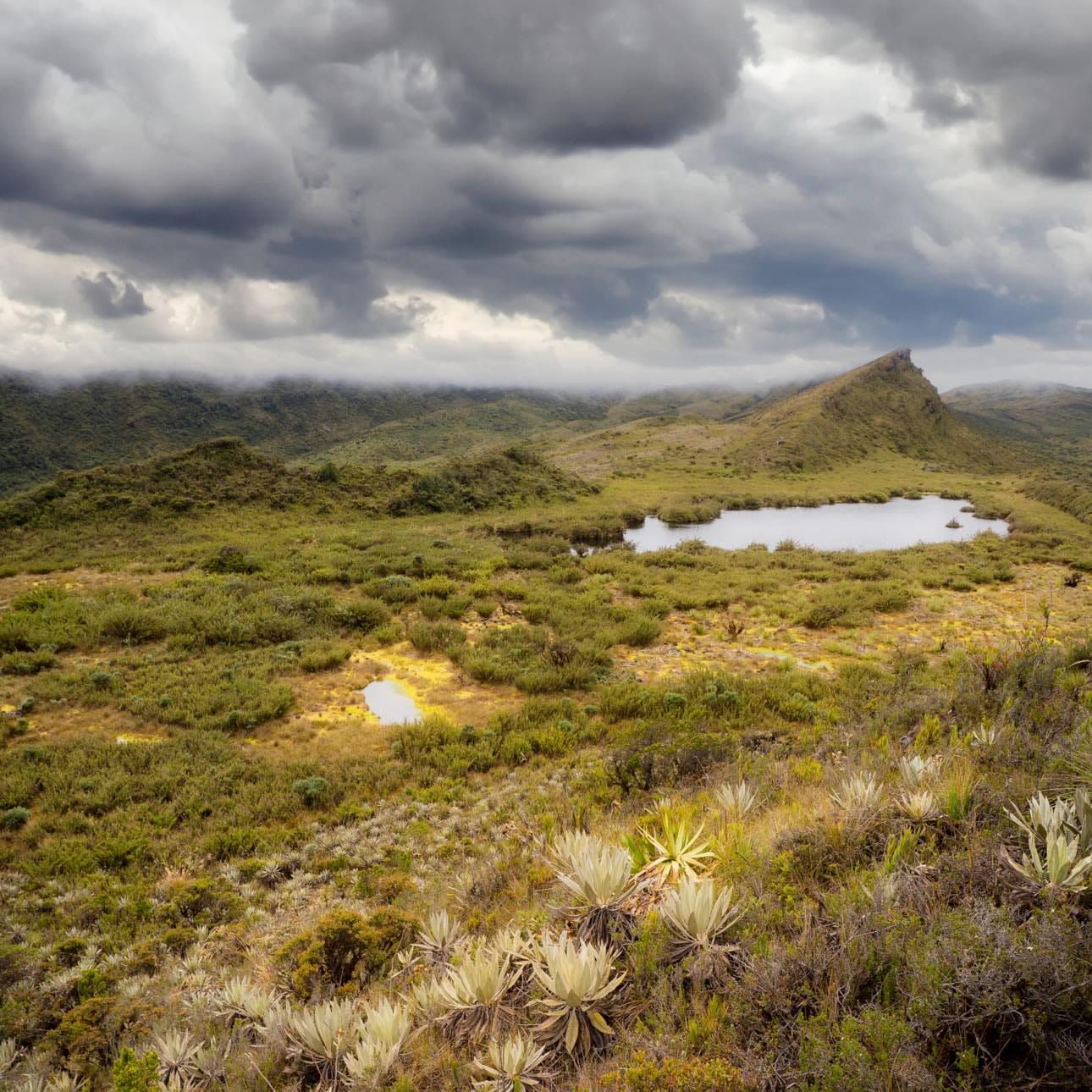 Caminata Páramo de Guasca y Laguna de Fausto - Imagen 8