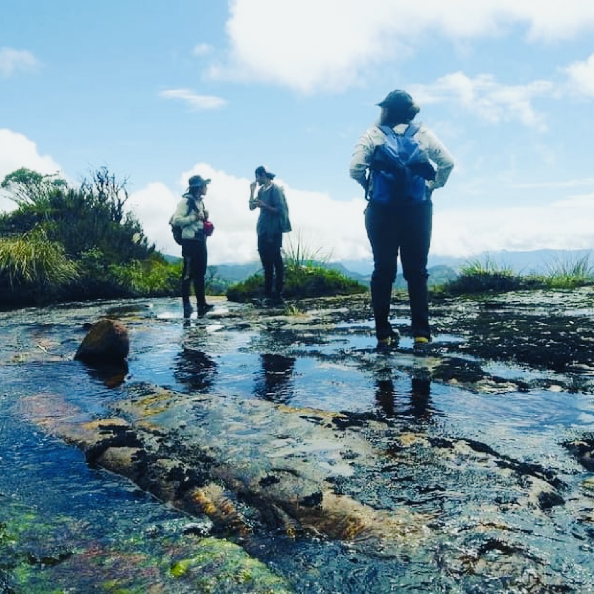 Caminata Páramo de Guasca y Laguna de Fausto - Imagen 5