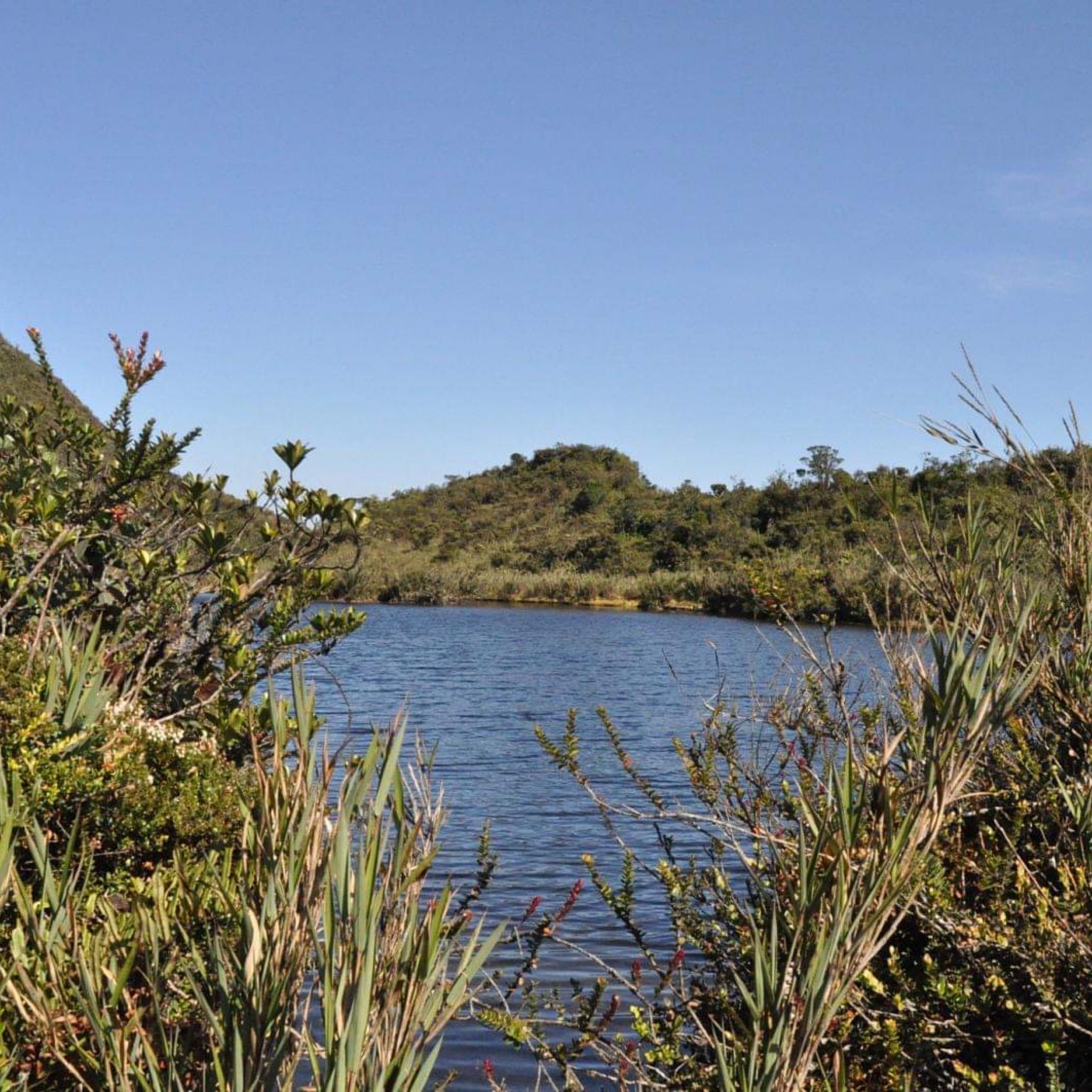 Caminata Páramo de Guasca y Laguna de Fausto - Imagen 3