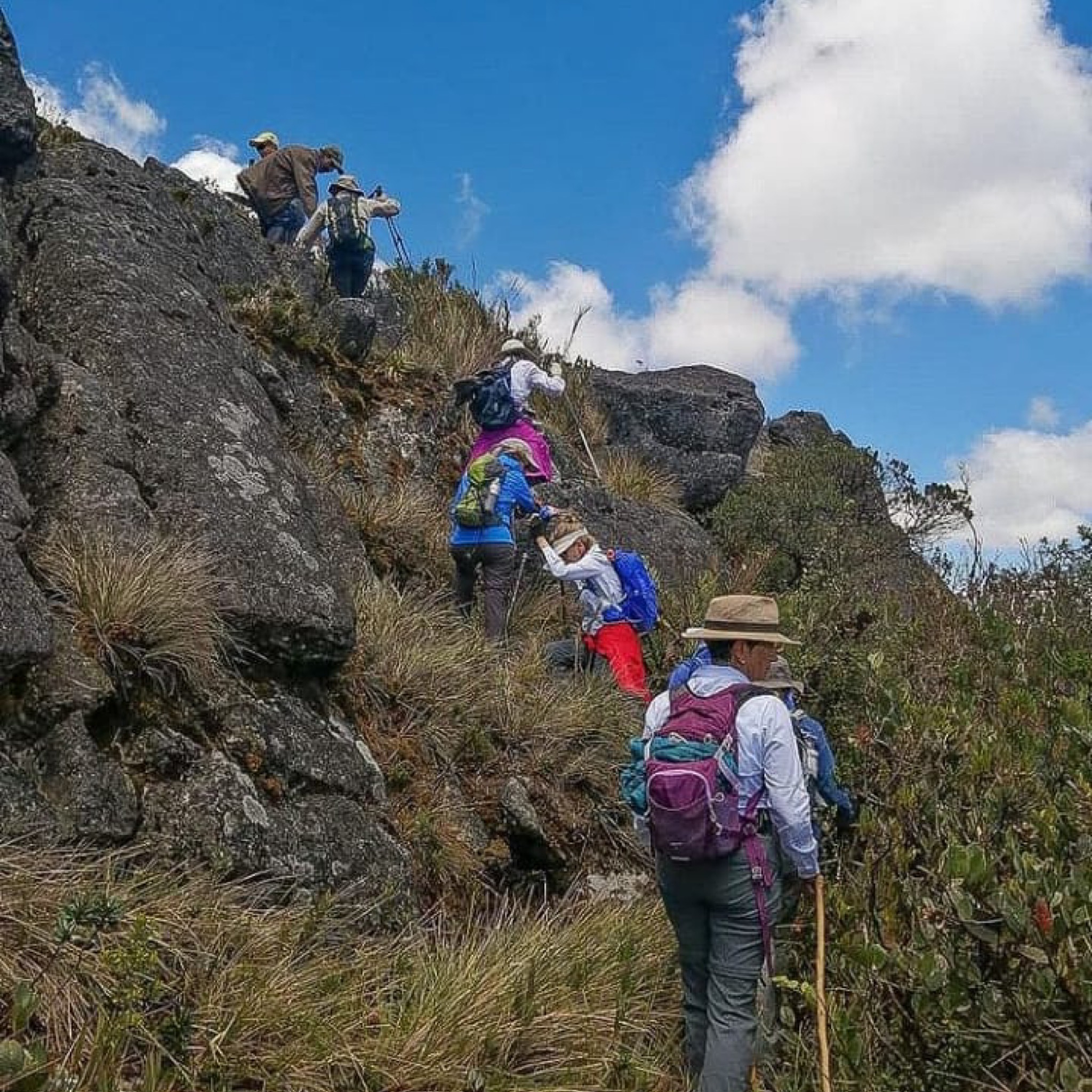 Caminata Páramo de Guasca y Laguna de Fausto - Imagen 7