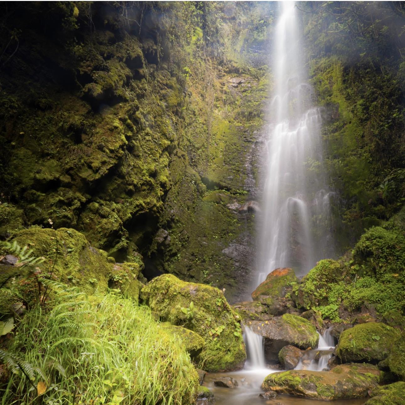 Caminata 7 Cascadas de Mundo Nuevo - Imagen 6