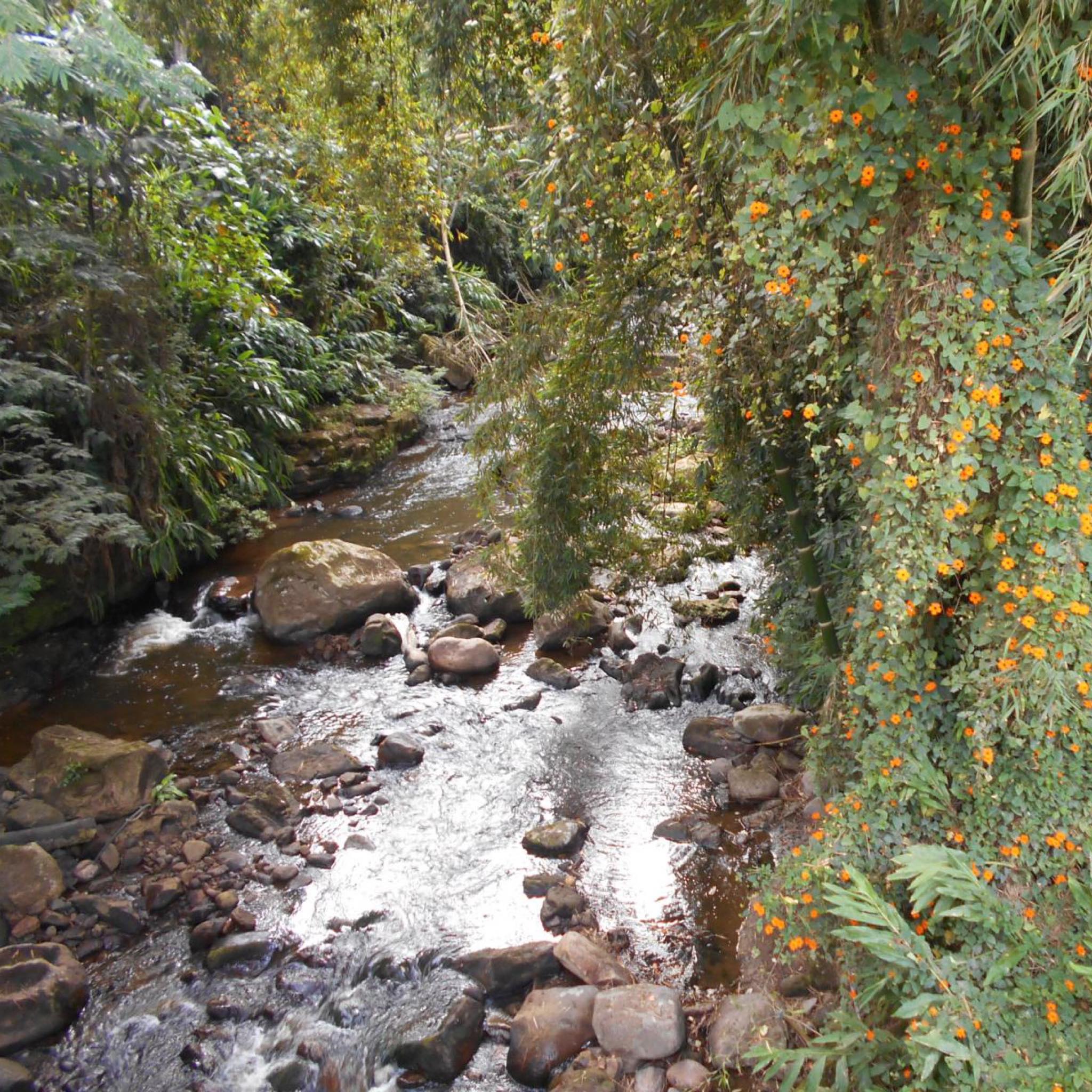 Caminata Pandi, Mirador La Chapa, San Bernardo - Imagen 6