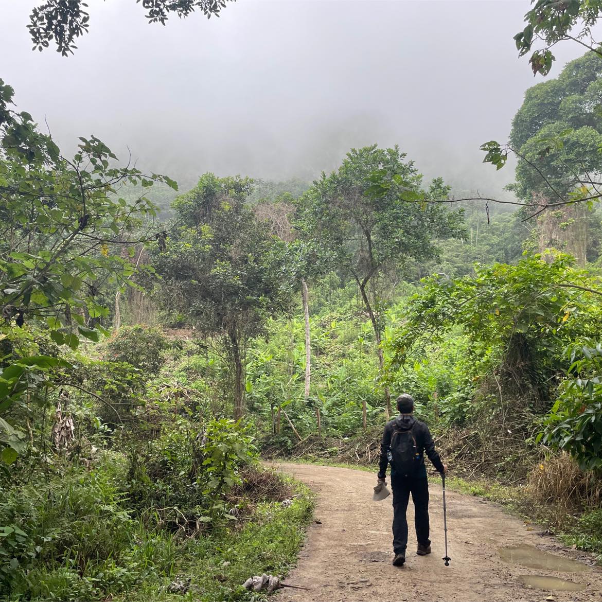 Caminata Pandi, Mirador La Chapa, San Bernardo - Imagen 3
