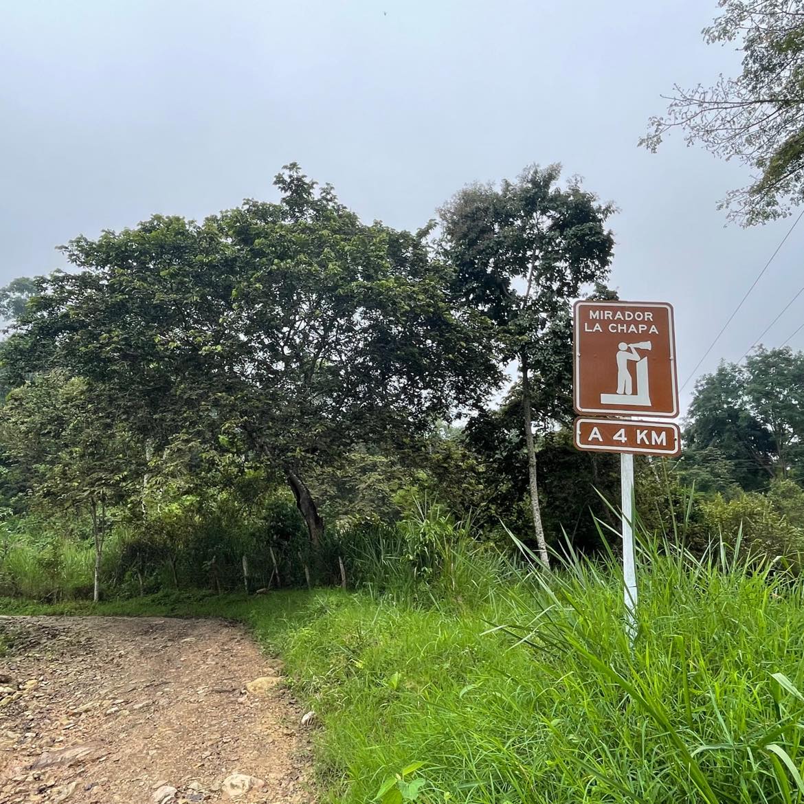 Caminata Pandi, Mirador La Chapa, San Bernardo - Imagen 5