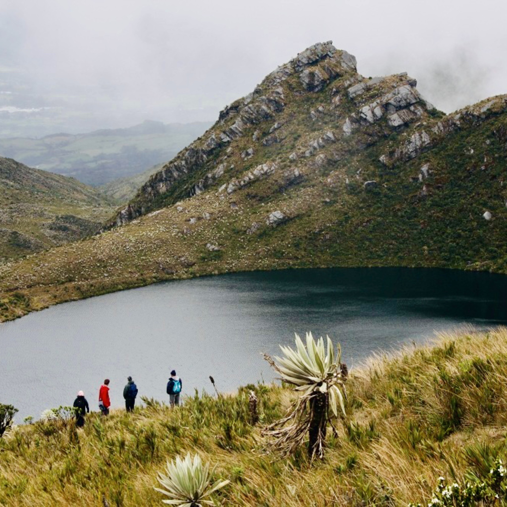 Caminata Lagunas de Siecha en PNN Chingaza - Imagen 3