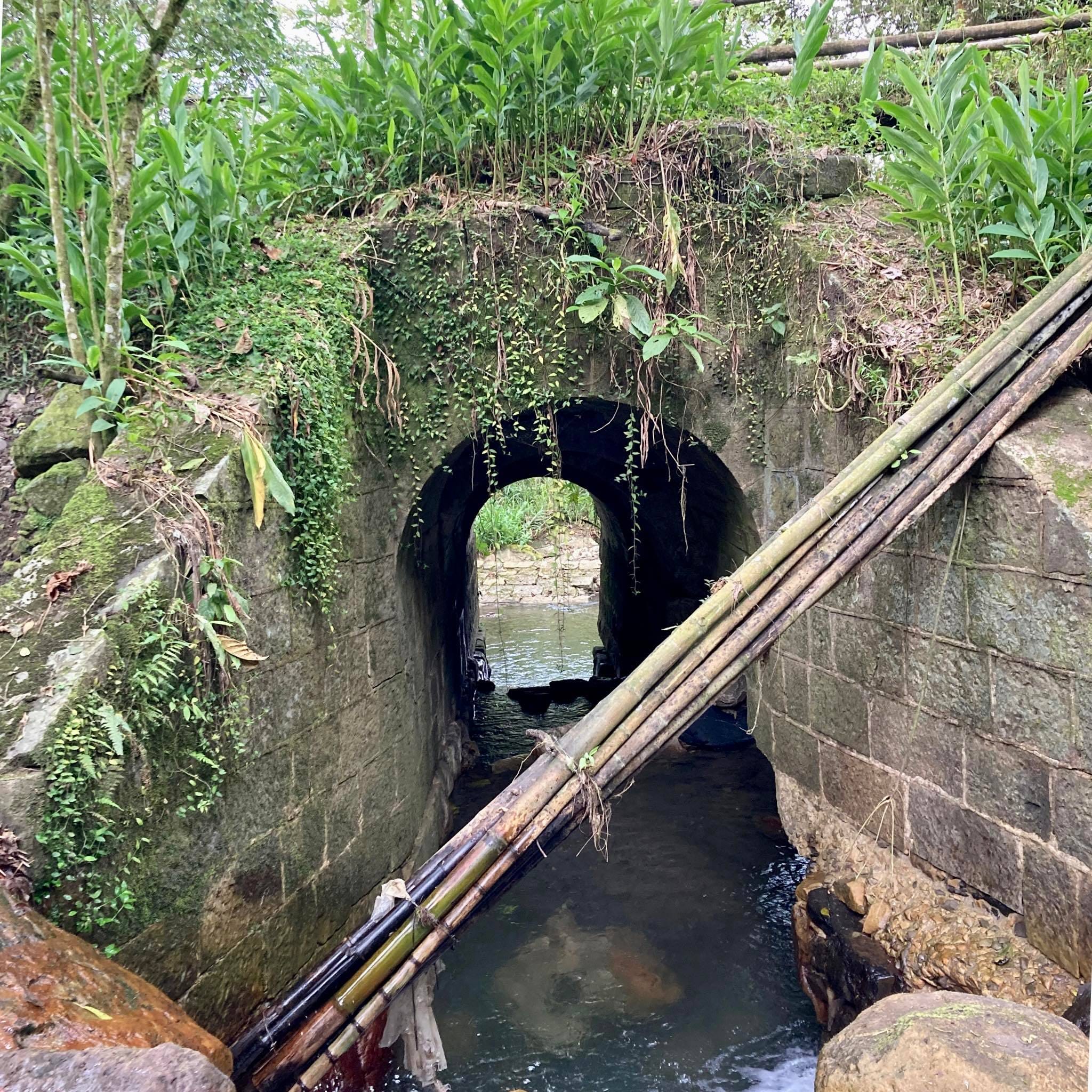 Caminata antigua vía férrea de Albán y Sasaima - Imagen 10