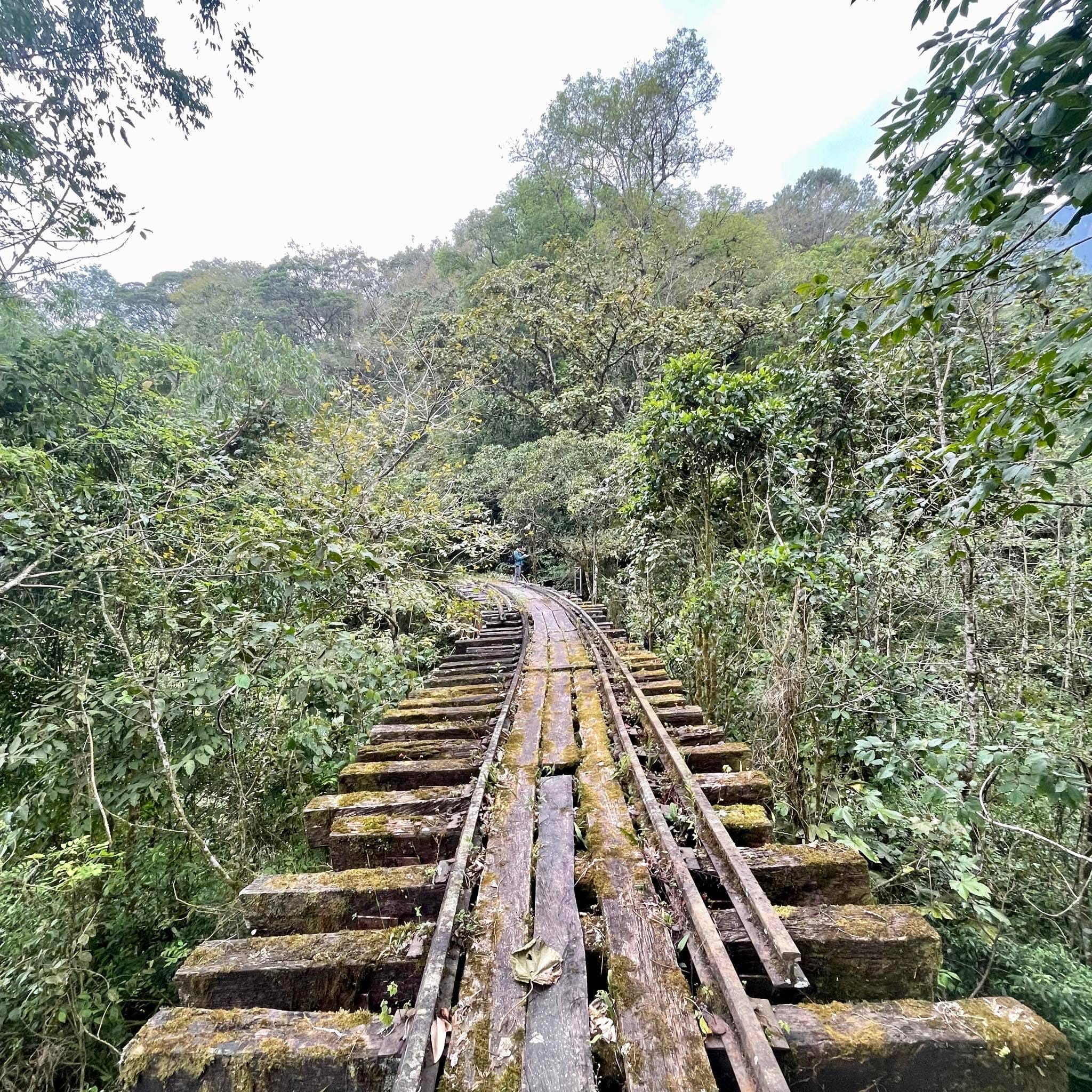 Caminata antigua vía férrea de Albán y Sasaima - Imagen 4