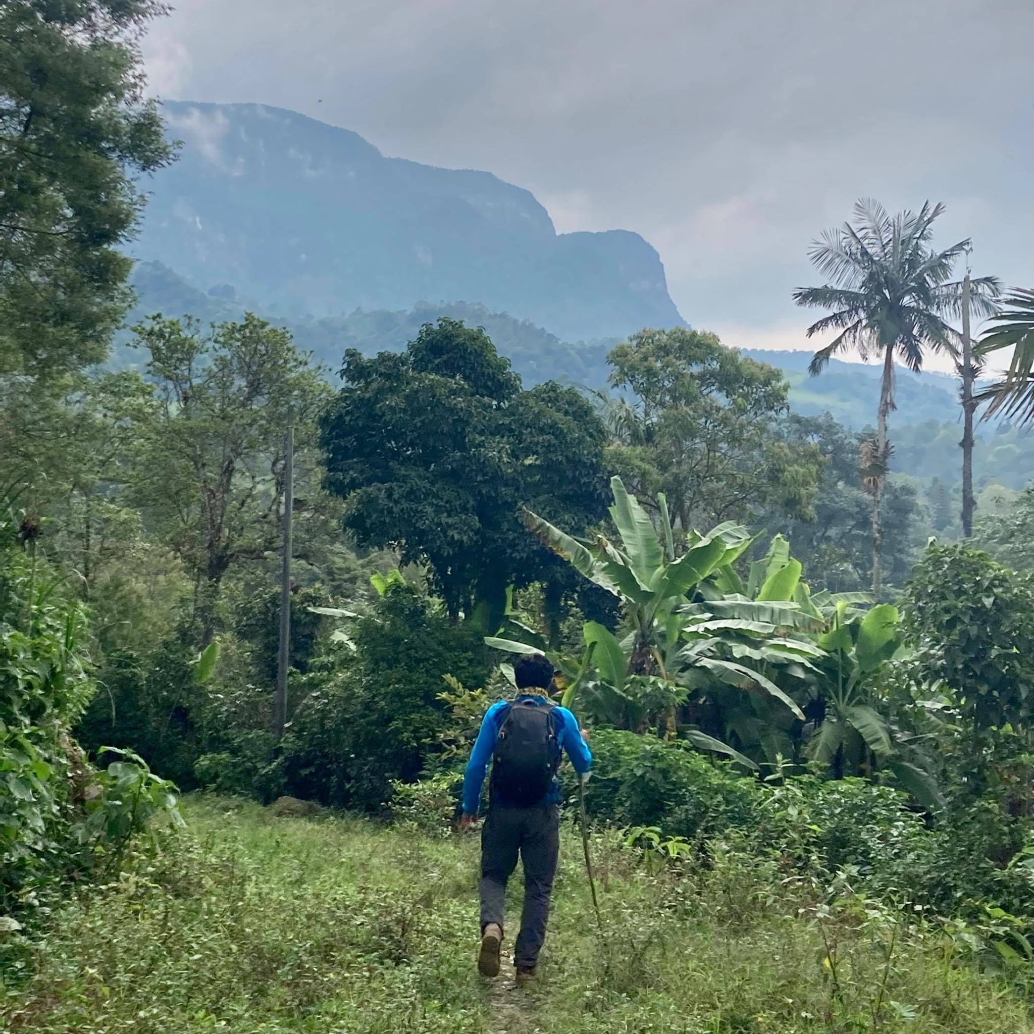 Caminata antigua vía férrea de Albán y Sasaima - Imagen 6