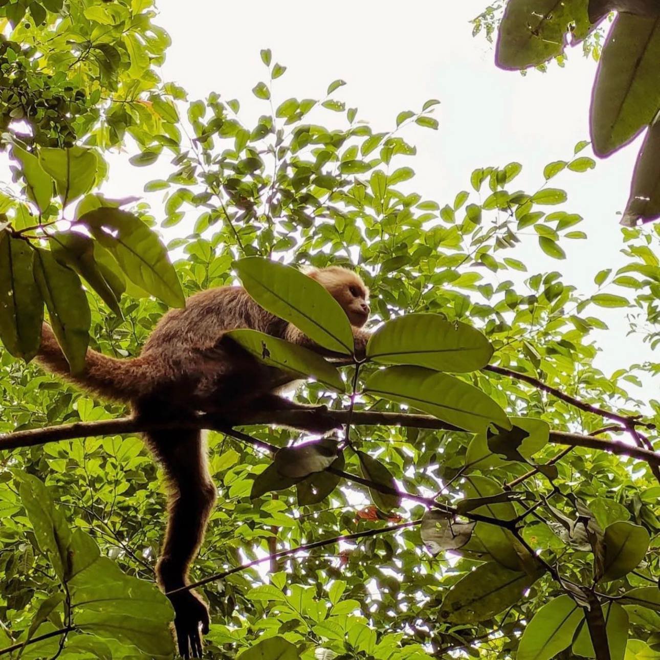 Experiencia Paraíso Tayrona - Imagen 8