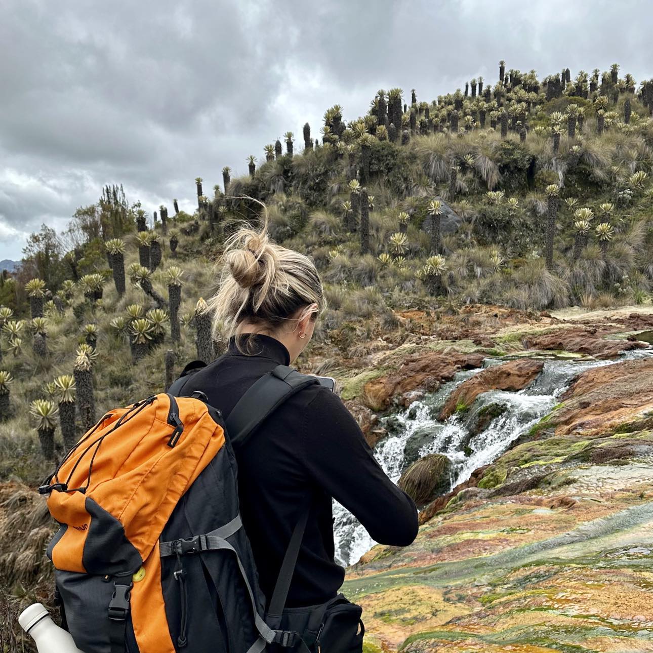 Tour al Volcán Nevado del Ruiz y Murillo, Tolima - Imagen 6