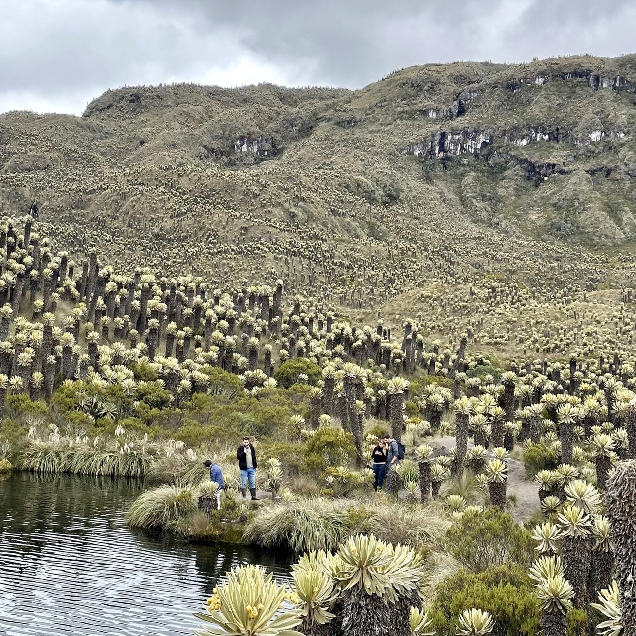 Tour al Volcán Nevado del Ruiz y Murillo, Tolima - Imagen 8