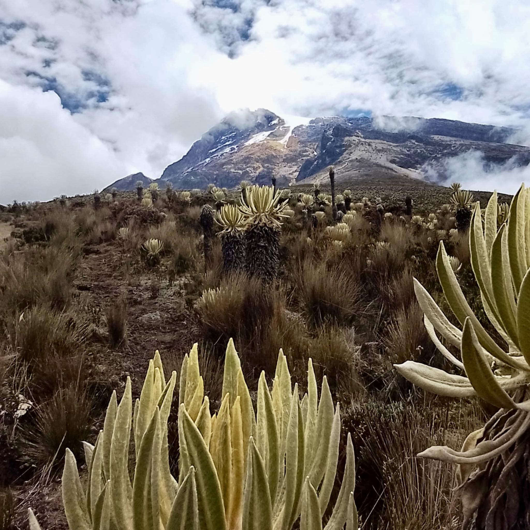 Experiencia Cumbre del Nevado del Tolima - Imagen 2