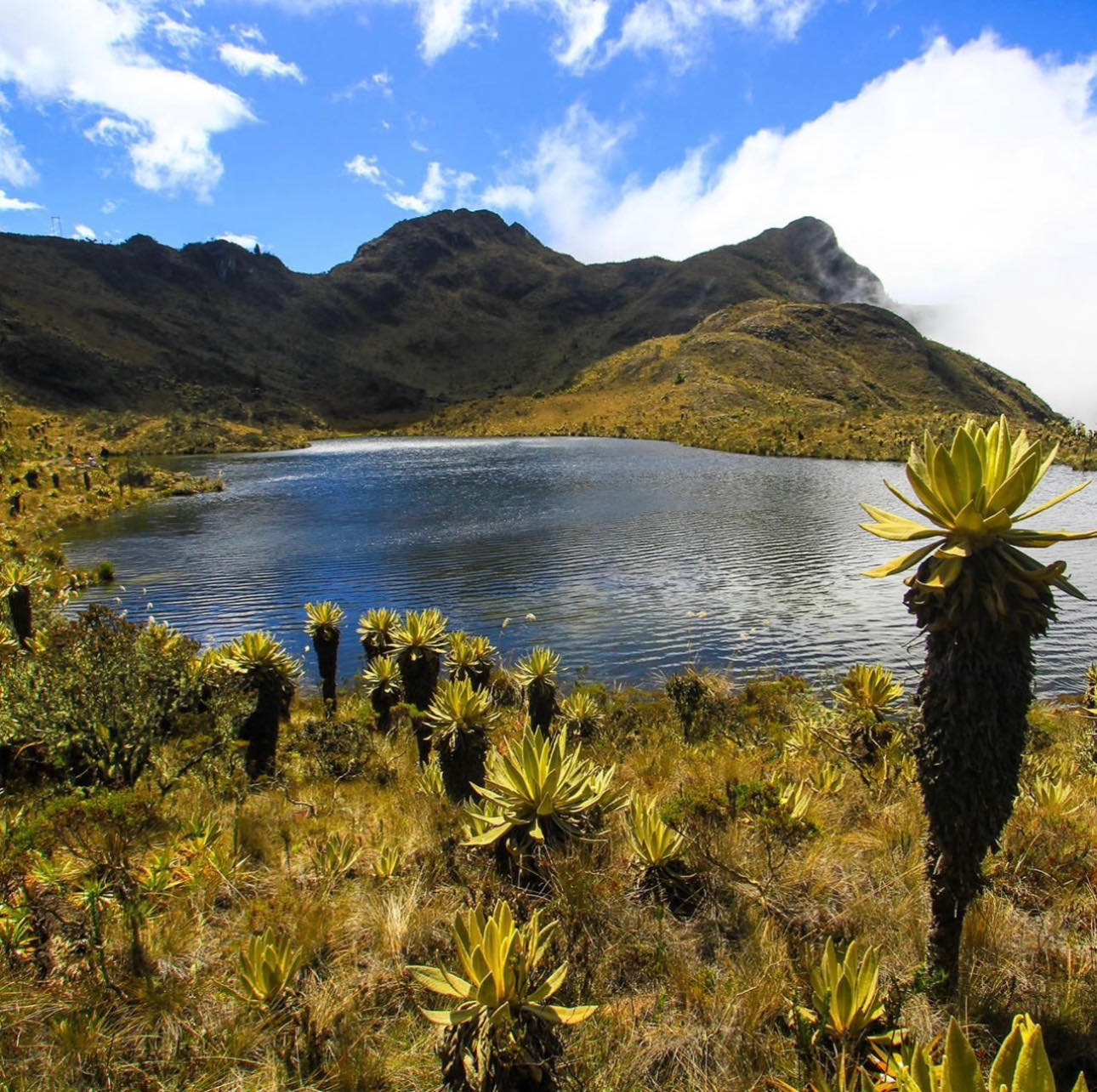 475636495_1158642655878106_3917871945475239309_n