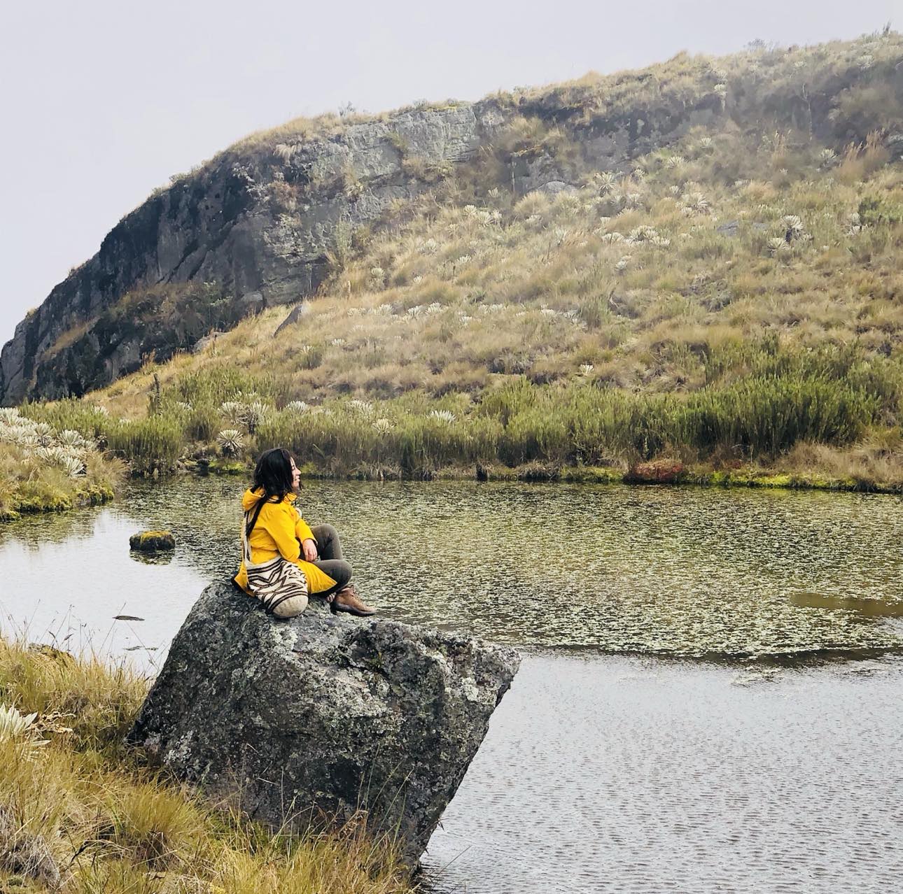 Caminata Páramo de Sumapaz, el más grande del mundo - Imagen 2