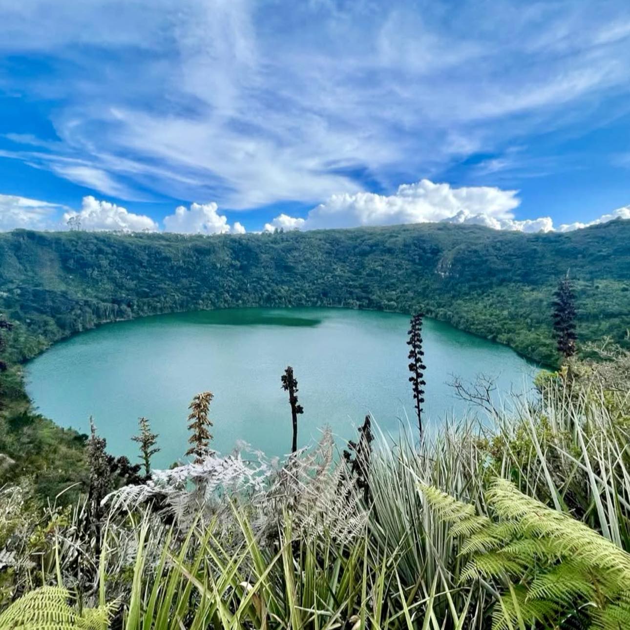 490996355_658955620210053_2109195493572336659_n